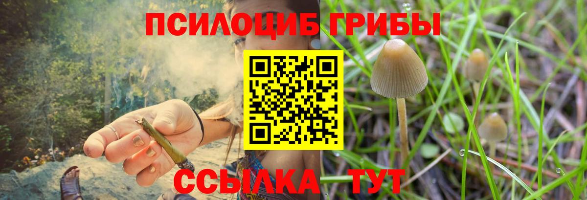 Галлюциногенные грибы MAGIC MUSHROOMS Вязьма