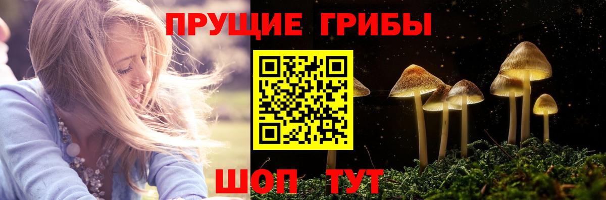 Псилоцибиновые грибы Psilocybe  Псилоцибиновые грибы ЛСД  Вход с VPN  Вязьма 